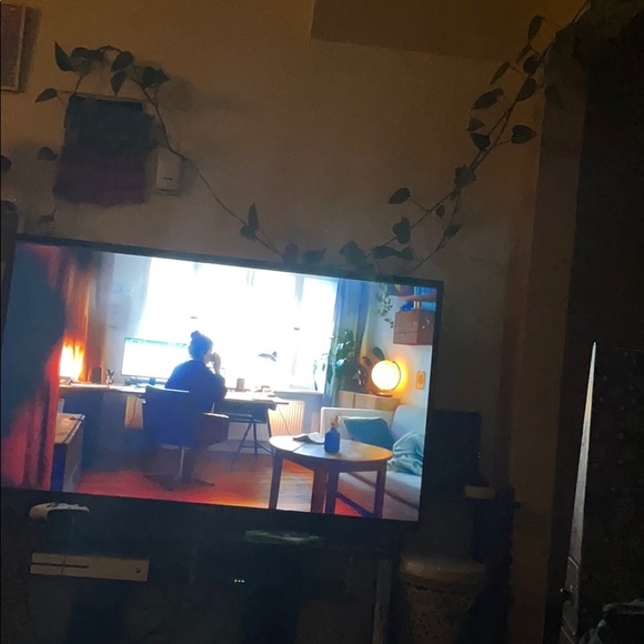 Meet your Posher, Jake - Picture 1 of 1